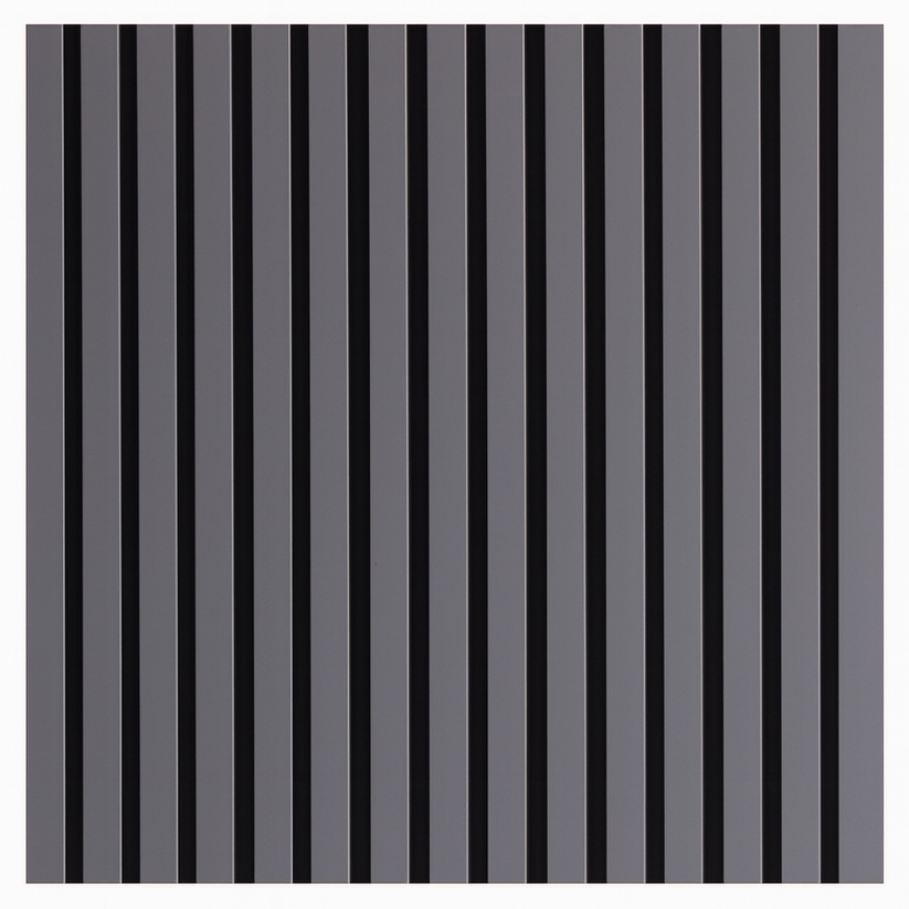 Panel Haus Colour Grey Acoustic Slat Wall Panel - 240cm x 32cm (2 Pack)